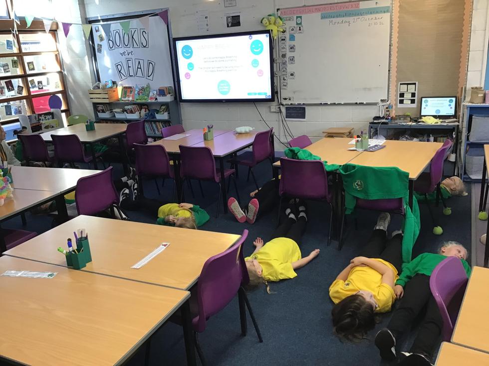 f1b66e55-60a8-4932-a3ac-056f1b2ce6f9_1x1 (1)